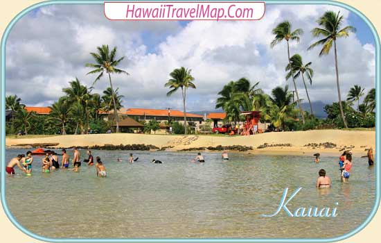 Beach Fun Kauai