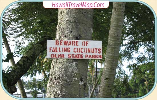 Falling Coconuts