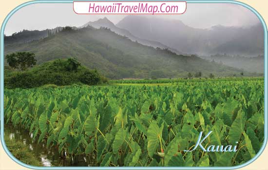 Hanalei Valley Kauai