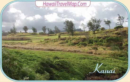 Inland Kauai Hawaii