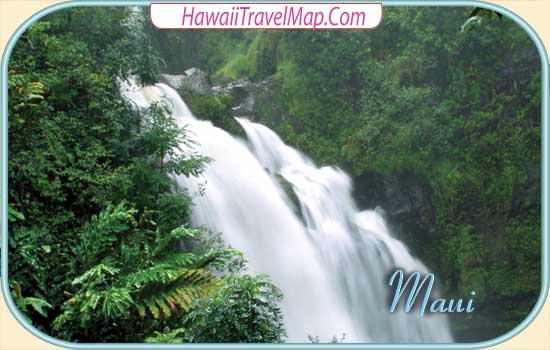 Maui Waterfall